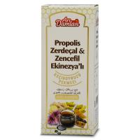 Arı Damlası Propolis Zerdeçal Zencefil Ekinezyalı Karışım 250ml