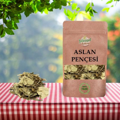 Aslan Pençesi Testere Dişli 100gr