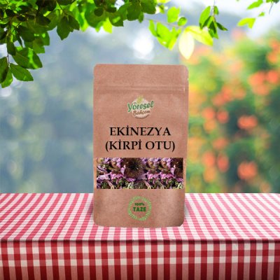 Ekinezya (Kirpi Otu) 100gr